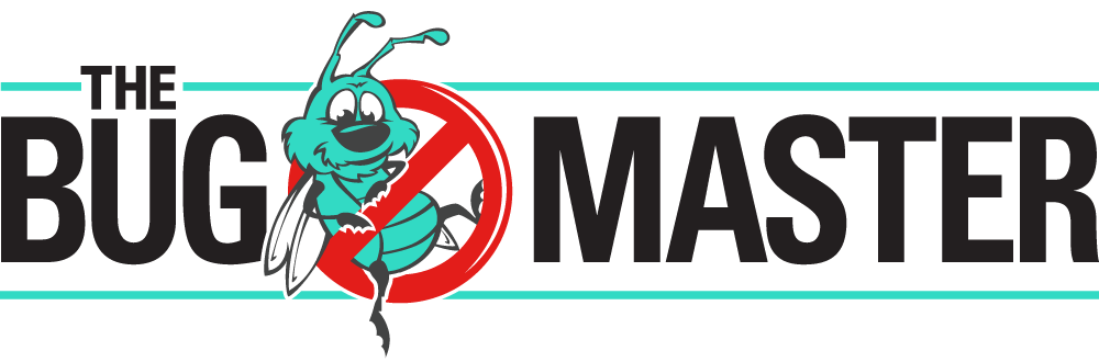 Pest Control And Exterminators In Temple Tx The Bug Master