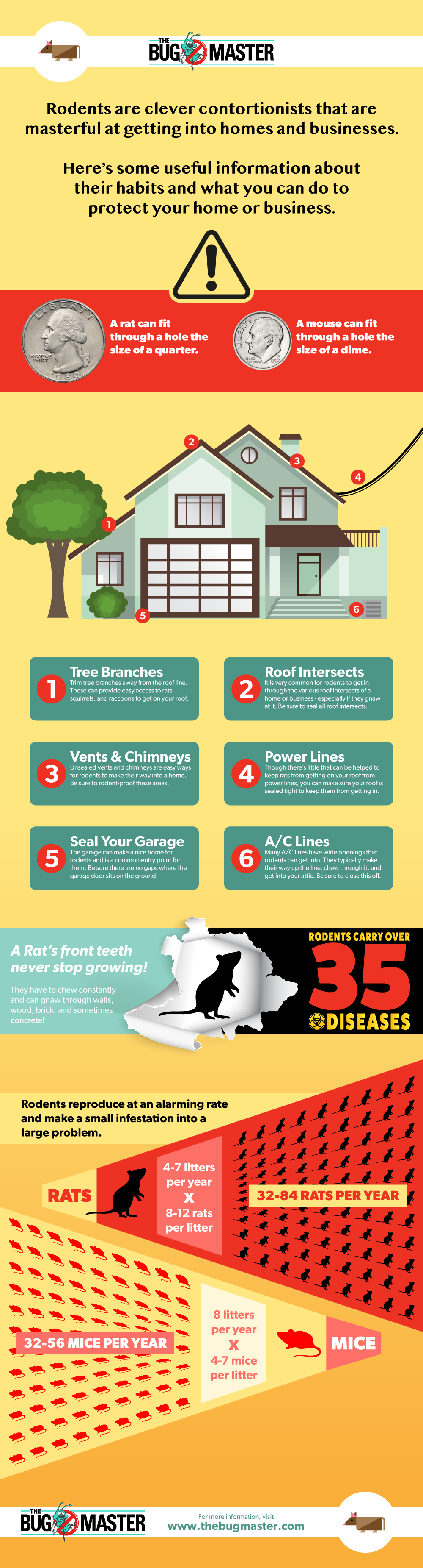 How To Keep Rodents Out Of Your Home How To Keep Rodents Out Of Your Home Infographic