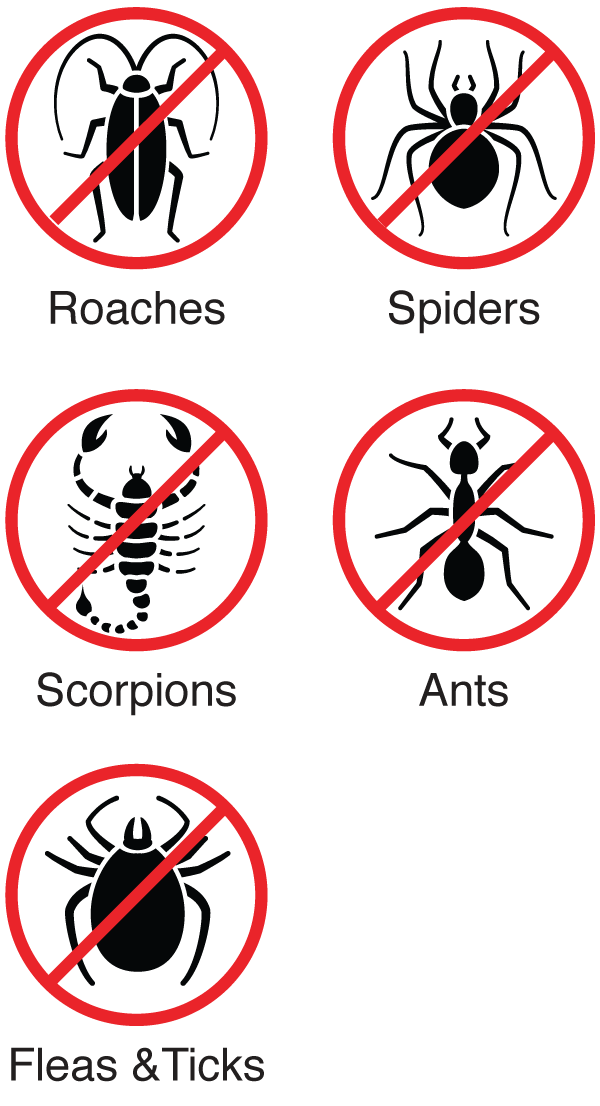 plus-pest-protection-icons plus-pest-protection-icons