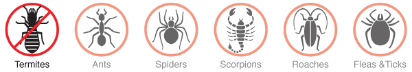 termite-pest-protection-icons-(mobile) termite-pest-protection-icons-(mobile)