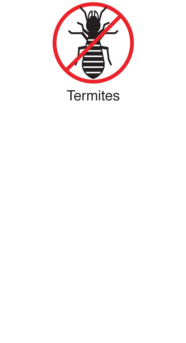 termite-pest-protection-icons termite-pest-protection-icons