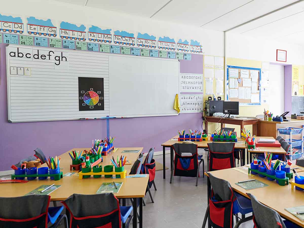 4 Common Pests Schools Face School Classroom