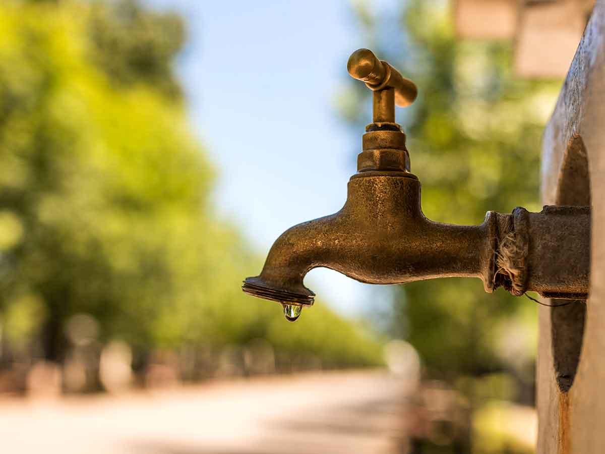Water sources that attract rats water sources that attract rats